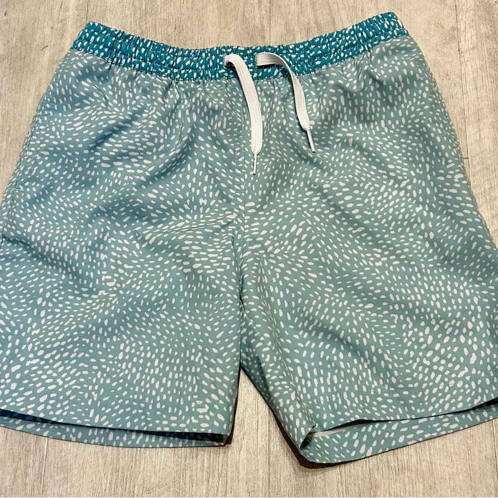 Chubbies Blue/teal and White Swim Trunks Quick-Dry Elastic Waist